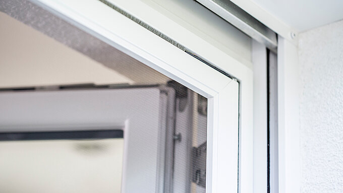 Nahaufnahme des oberen Bereichs einer geöffneten Pendeltür mit Insektenschutzrahmen.