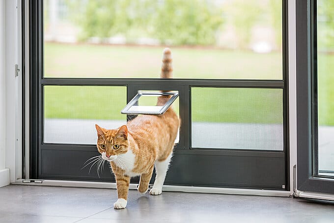 Dunkler Insektenschutz an der Türe mit Katzenklappe